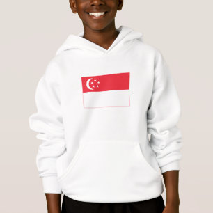 Singapore Flag