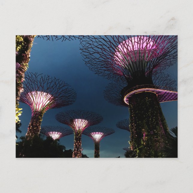 Singapore Gardens by the Bay #1 Carte postale (Devant)
