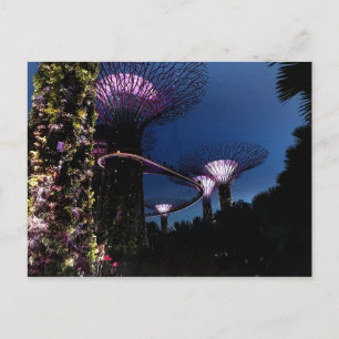 Singapore Gardens by the Bay #2 Carte postale