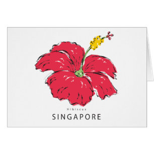 SINGAPORE HIBISCUS COLLECTION