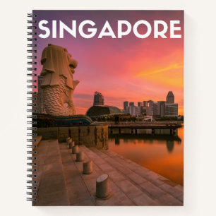 Singapore Notebook