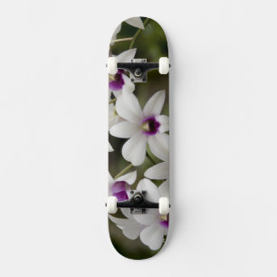 Singapore (Sanskrit for Lion City). National 2 Skateboard