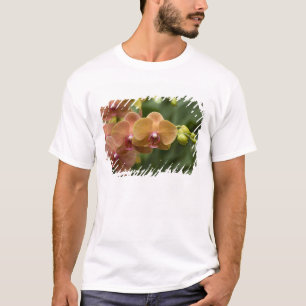 Singapore Sanskrit for Lion City). National 2 T-Shirt