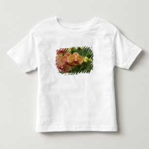 Singapore Sanskrit for Lion City). National 2 Toddler T-shirt