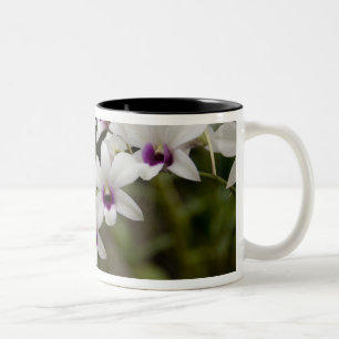 Singapore (Sanskrit for Lion City). National 2 Two-Tone Coffee Mug