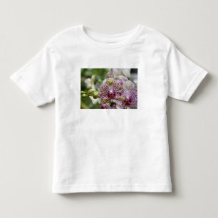 Singapore (Sanskrit for Lion City). National Toddler T-shirt