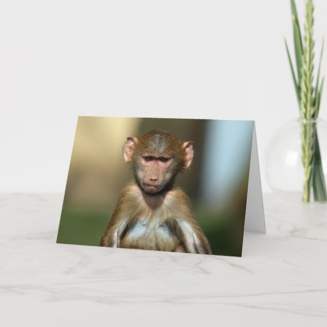 Singe Cheeky - Carte Baboon Bébé Cute (Devant)
