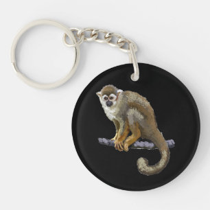 Singe écureuil