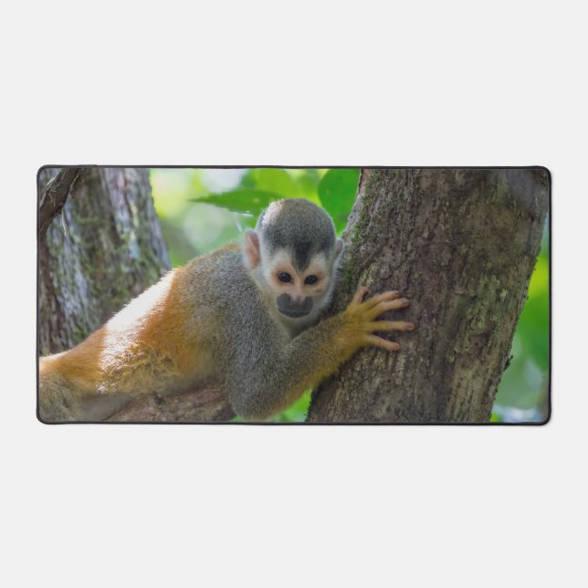 Singe écureuil à Manuel Antonio NP - Costa Rica (Recto)