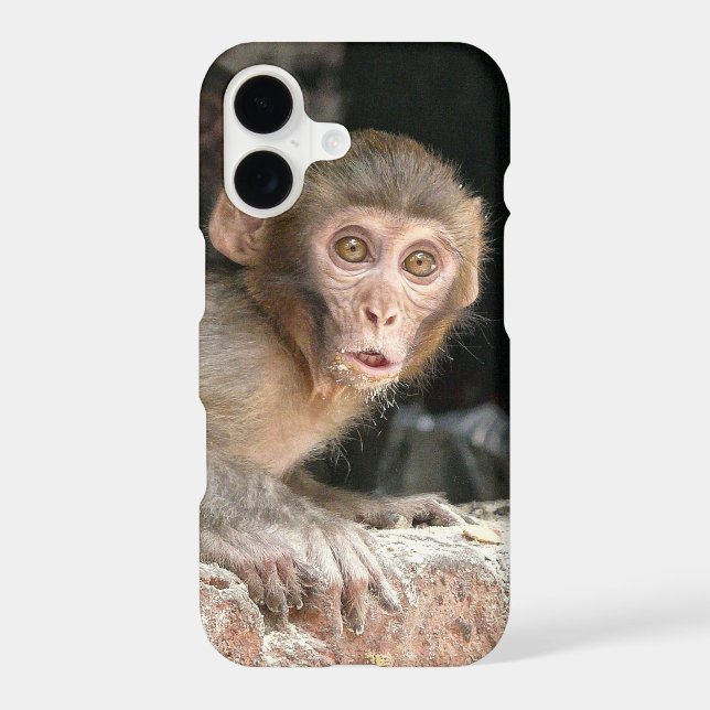 Singe effrayé aux grands yeux (Verso)