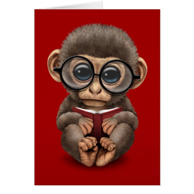 Singe mignon de bébé lisant un livre sur le rouge (Devant)