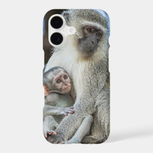 Singe Vervet faisant un câlin
