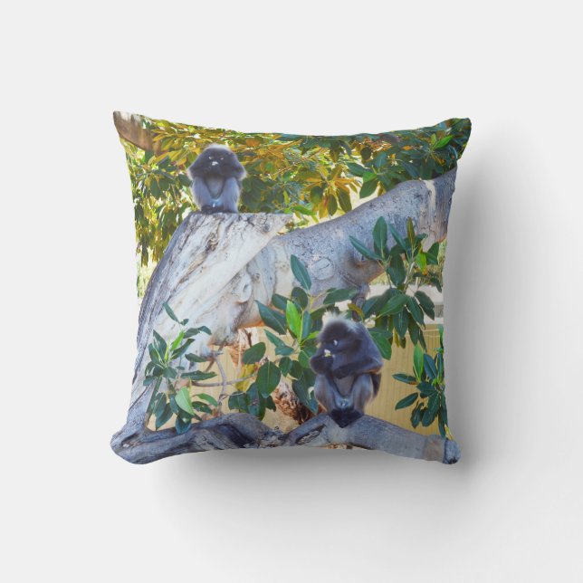 Singes De Langur Noir Manger, Coussin (Recto)