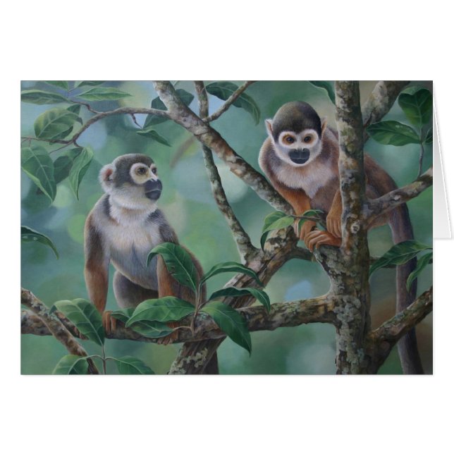 Singes-écureuils (Devant horizontal)