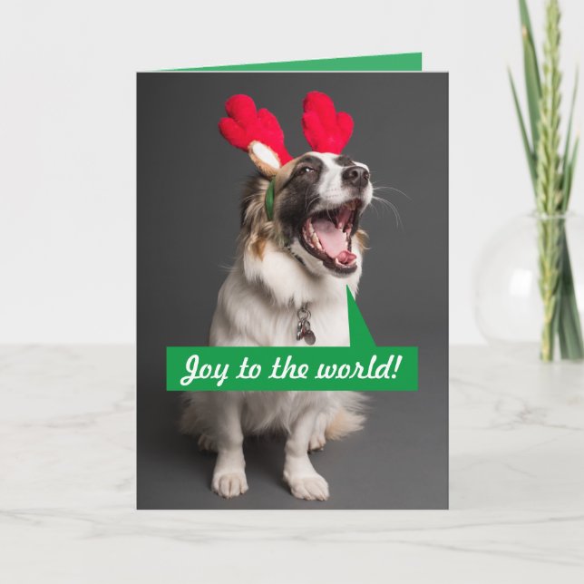 Singing Australian Shepherd Christmas Holiday Card (Front)
