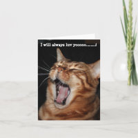 Singing Bengal cat "I will always luv yoooo"