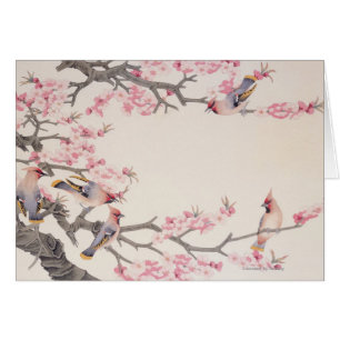 Singing Birds in Spring