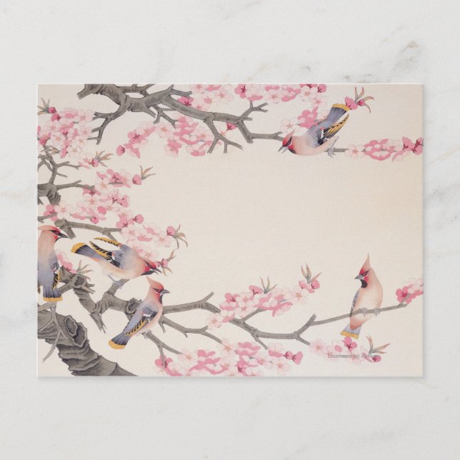 Singing Birds in Spring Postcard (Front)