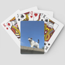 Singing Cat Playing Cards Singing Cat