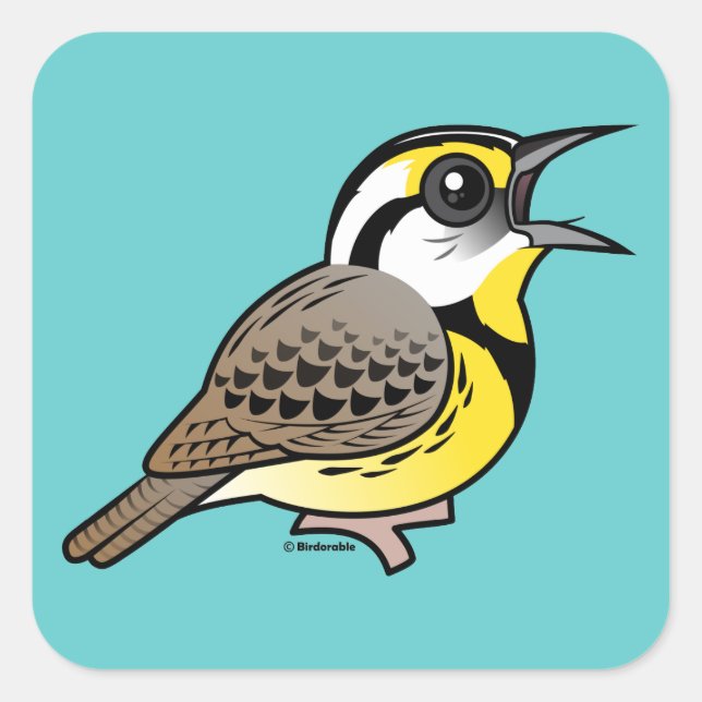 Singing Eastern Meadowlark Square Sticker (Front)