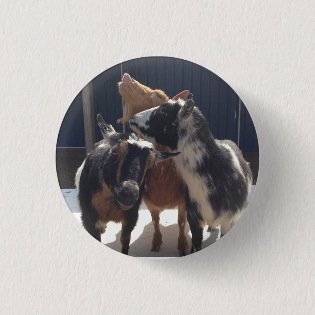 Singing Goats 1 Inch Round Button (Front)
