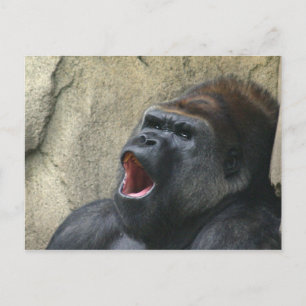 Singing gorilla postcard