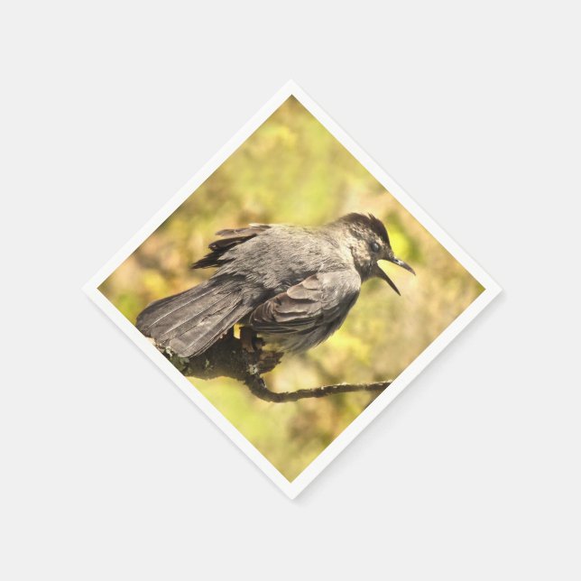 Singing Grey Catbird Paper Napkins (Corner)