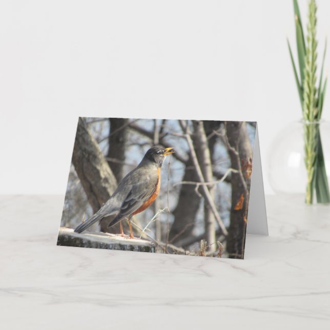 "Singing Lakeside Robin" Birthday Card (Front)