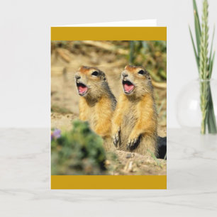 Singing Prairie Dogs Card
