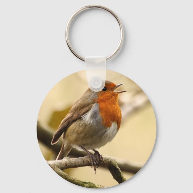 Singing Robin Keychain (Front)