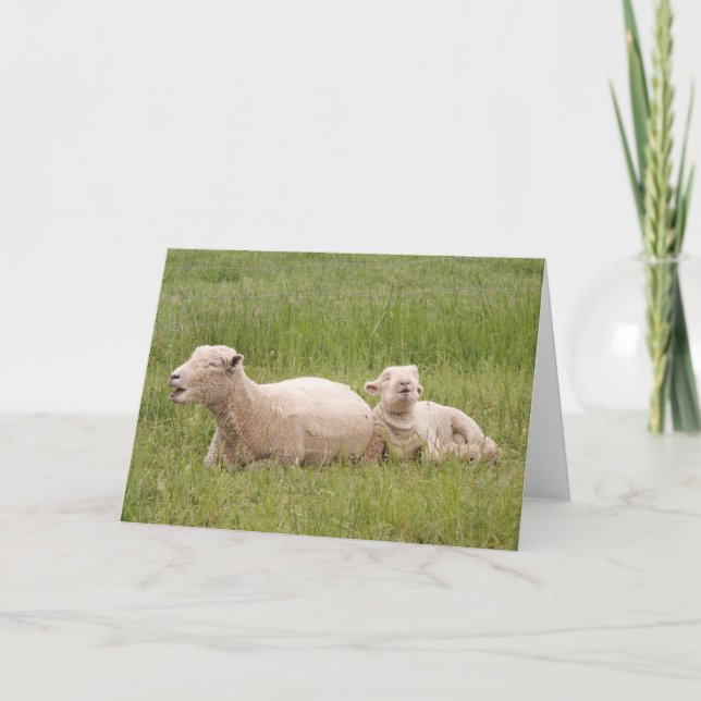 Singing Sheep Card (Front)