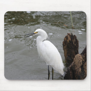 Singing Snowy Egret Mouse Pad