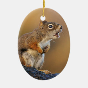 Singing Squirrel Ceramic Ornament