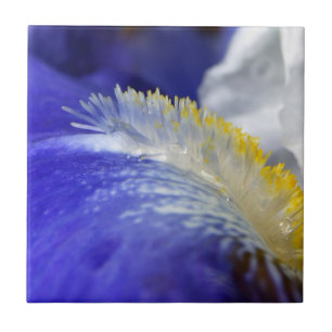 Singing the Blues! Tile