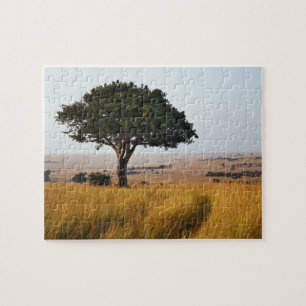 Single acacia tree on grassy plains, Masai Mara, Jigsaw Puzzle