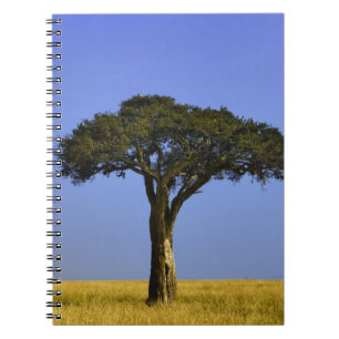 Single Acacia tree on grassy plains, Masai Mara, Notebook