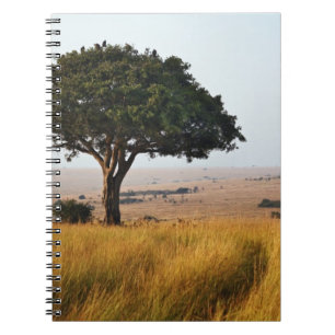 Single acacia tree on grassy plains, Masai Mara, Notebook