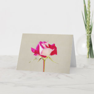 Single Artsy Pink Rose Art Note Card