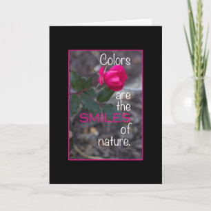 Single Bending Pink Rose Photo Black Border Custom Card