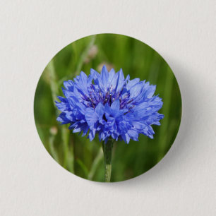 Single Blue Cornflower in green English Meadow 2 Inch Round Button