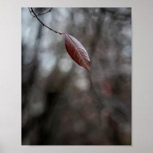 Single Burgundy Autumn Leaf on a Thin Branch  Poster