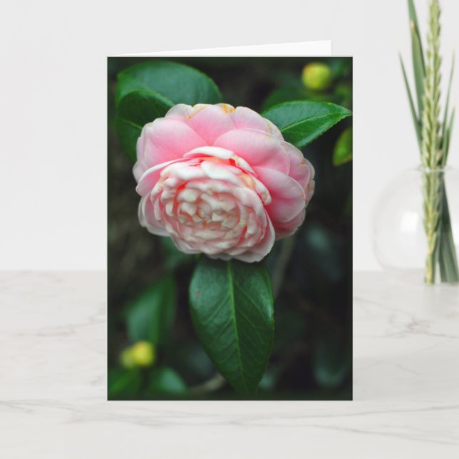 Single camellia bloom card (Front)