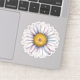 Single Country Daisy 