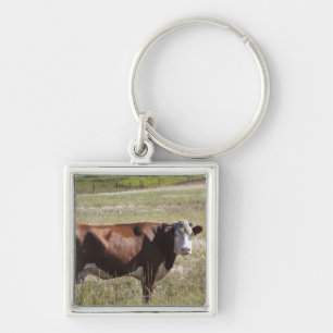 Single Cow In A Field Keychain