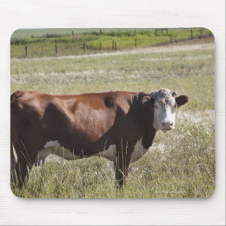Single Cow In A Field Mouse Pad
