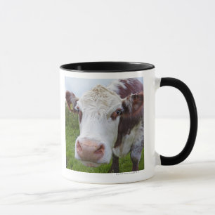 Single cow peerring into camera mug