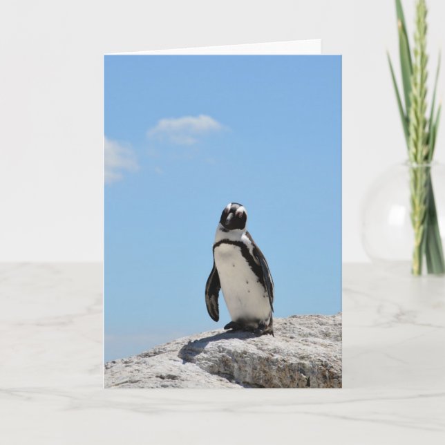 Single Cute Penguin and Blue Sky Card (Front)