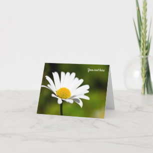 Single Daisy Greeting Card