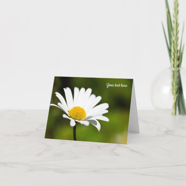 Single Daisy Greeting Card (Front)
