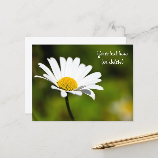 Single Daisy Postcard (Front/Back In Situ)